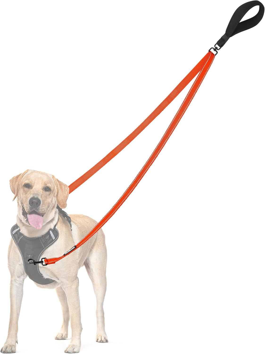 Two Point Control Dog Leash, No Tangle Training Walking Leashes – Essentials for Dogs - Orange