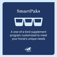 Senior Support SmartPak | Prebiotics and Probiotics | Turmeric Supplement | Flax Seed for Skin & Coat Health | Antioxidant Support for Senior Horses | 28 Days Supply