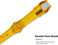 Felt Recorder Case for Soprano, Gray, for Kids – Fun for Kids & Family - Transparent Orange - image 3