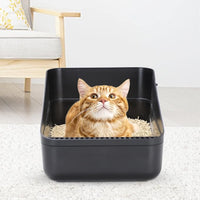 Sfozstra Open Litter Box, High Side Sifting, Secure and Odor Control, Removable, Easy to Clean for Cats Up to 8 Pounds (Black Small)