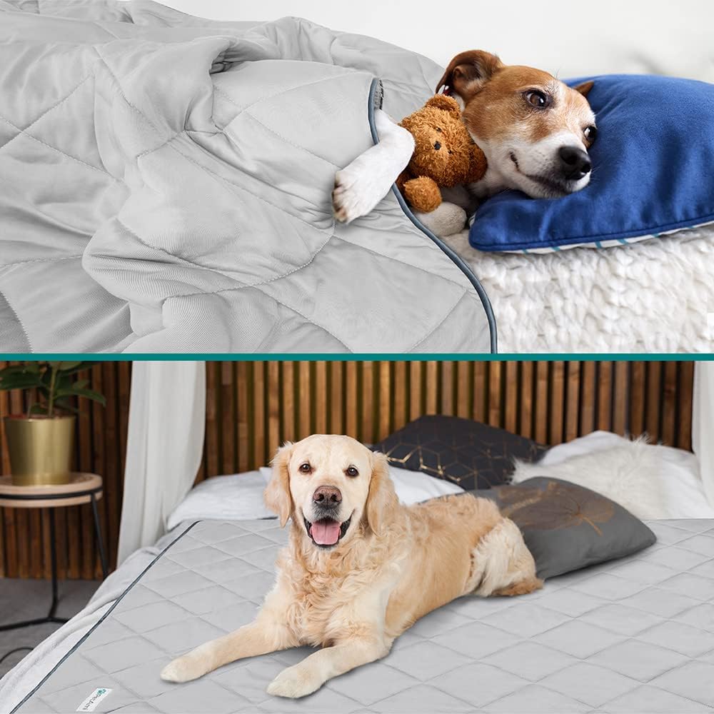 PetAmi Cooling Dog Blanket Lightweight for Small Pet Cat, 24x32 - Light Grey / Small (24x32) - image 4