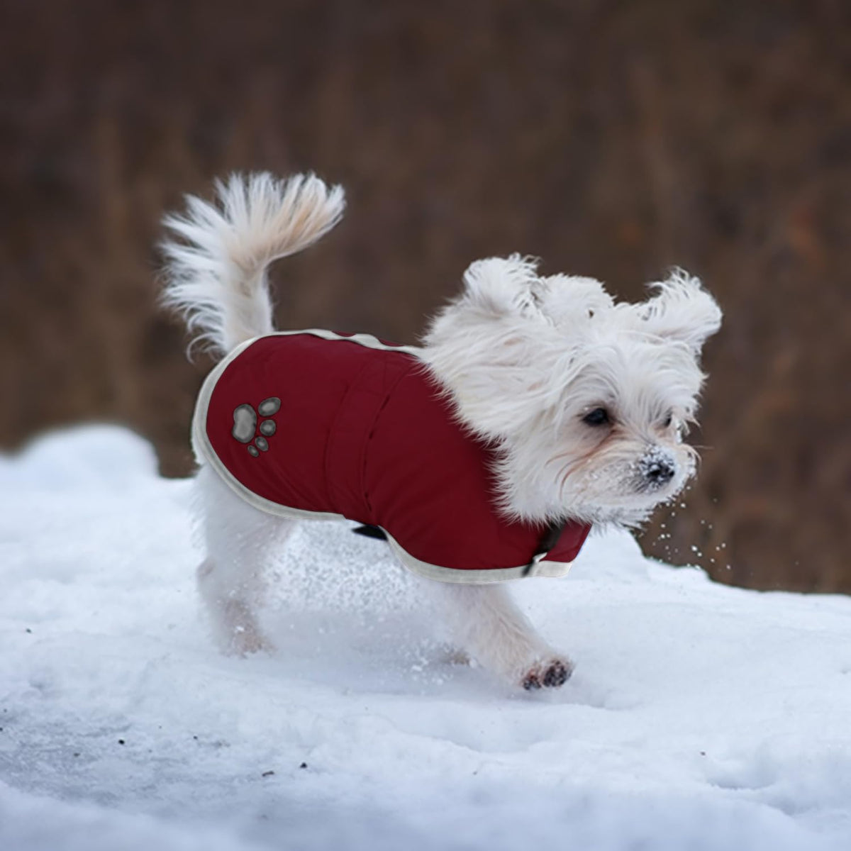 Queenmore Cold Weather Dog Coats Loft Reversible Winter Fleece Dog - XX-Large / Burgundy - image 4