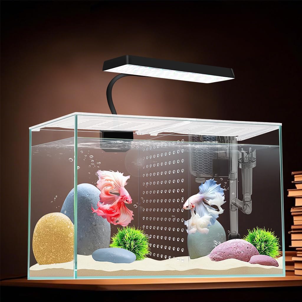 3 Gallon 12.6” L Fish Nano Glass Aquarium - Ultra-white