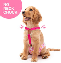Pet Soft Dog Suspenders 2 Pieces Female Dog Diaper Suspenders - Black & Pink / Small/Medium - image 2