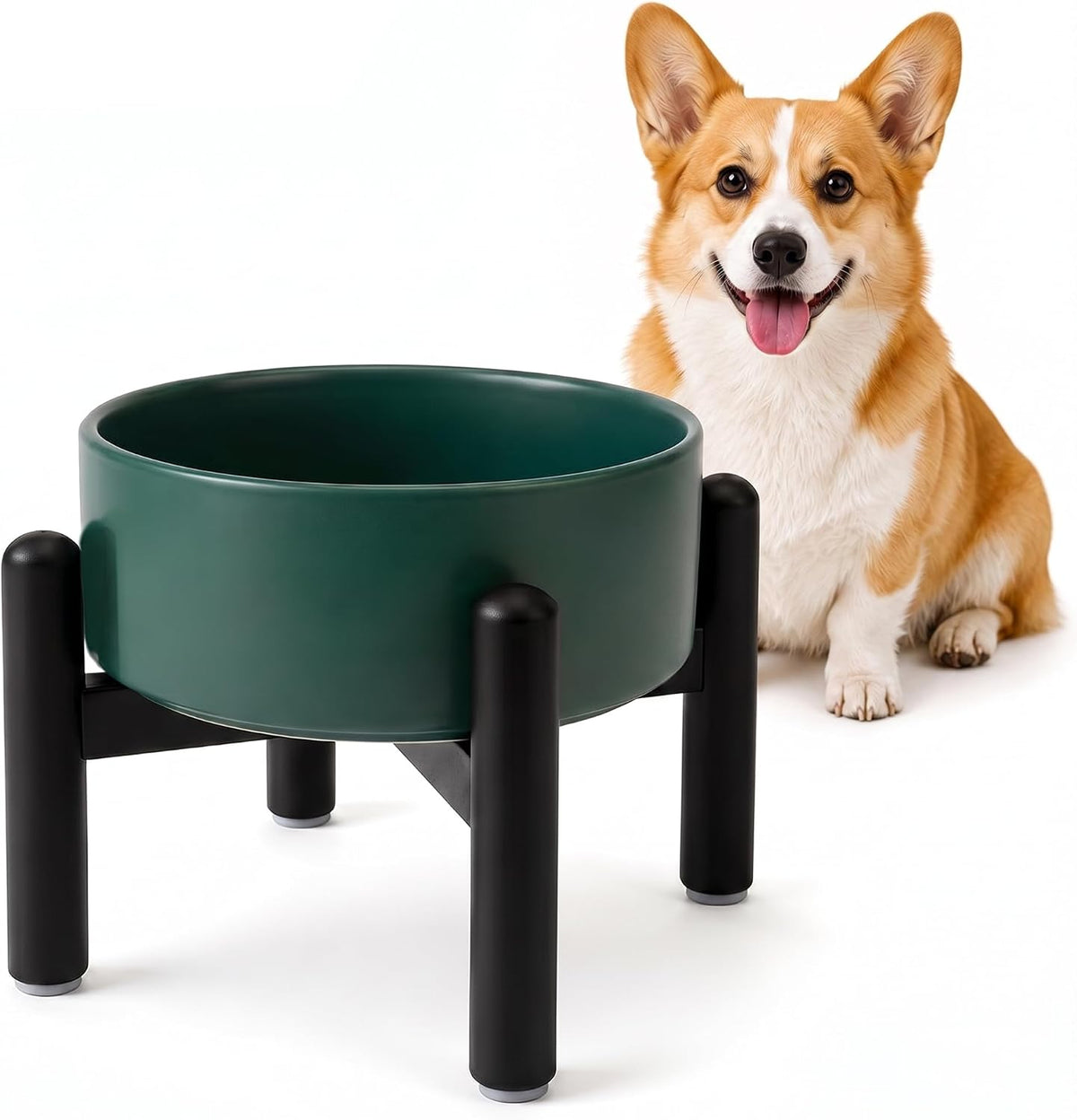 Raised Ceramic Dog Bowl Set with Stand - Green / 1 Bowl - 3.5 Cups