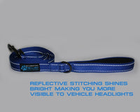 Max and Neo Reflective Nylon Dog Leash - 6 FT x 1" Wide / BLUE - image 3