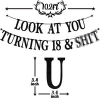 Black Glitter Look at You Turning 25 & Sh*t Banner - 18 - image 2