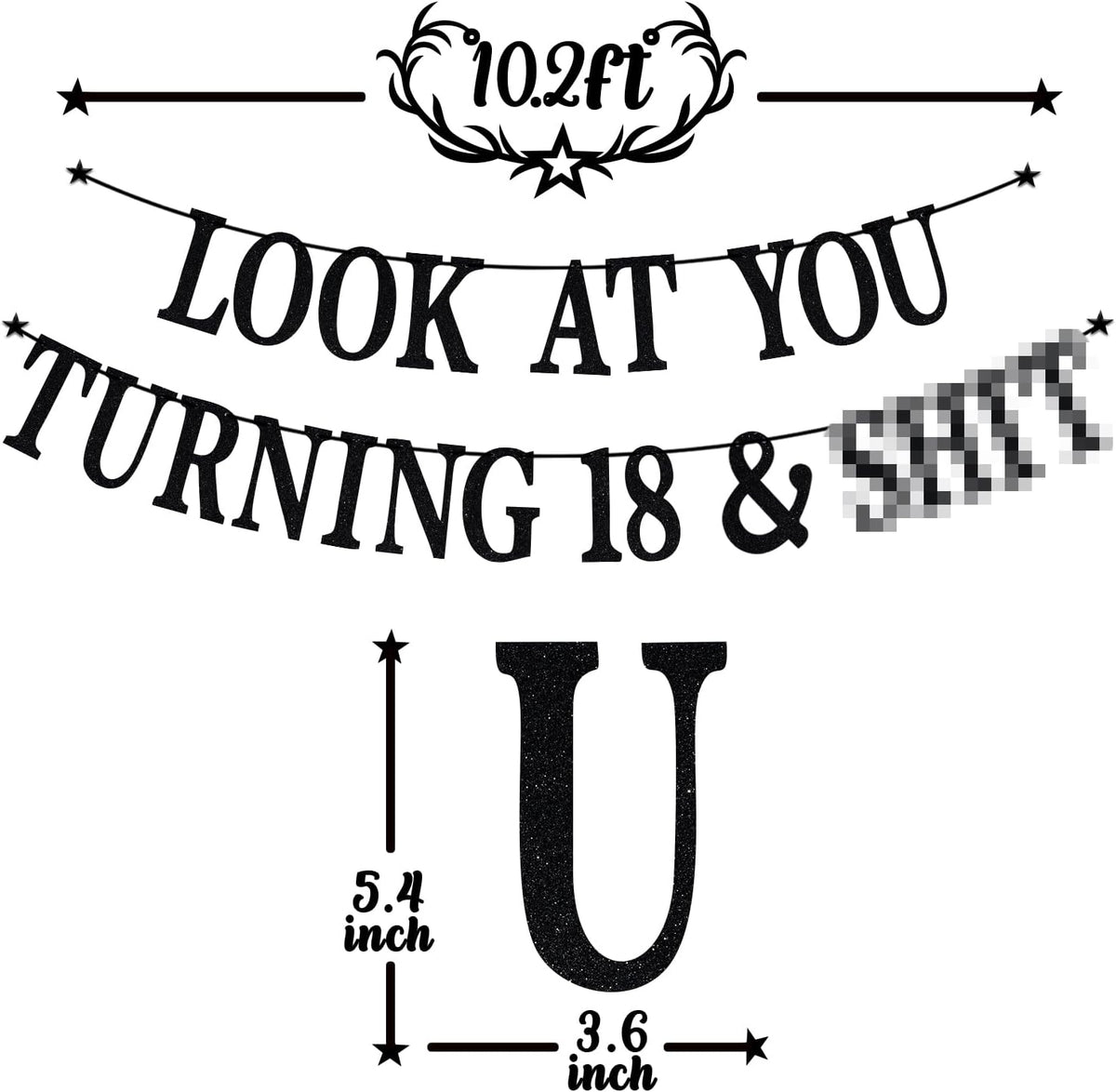 Black Glitter Look at You Turning 25 & Sh*t Banner - 18 - image 2