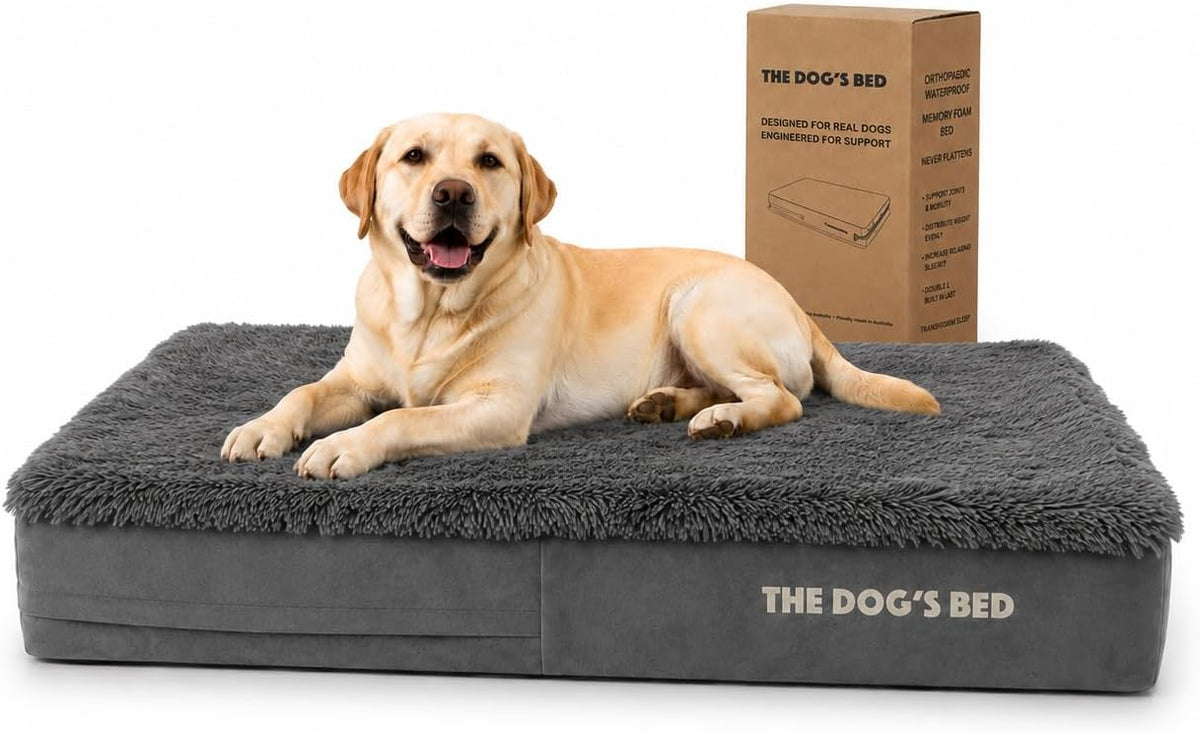 The Dog’s Bed Orthopedic Memory Foam Dog Bed - Grey Fur / Large Beds (6" deep)