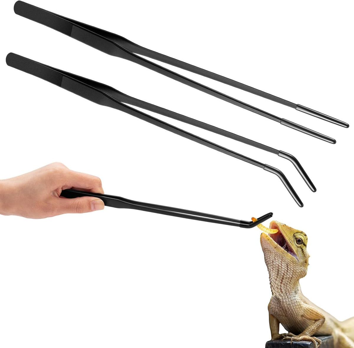Lasnten 2 Pcs Reptile Feeding Tongs, Long - Black / 10 Inch, 10.5 Inch