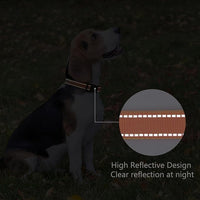 Reflective Dog Collar Padded with Soft Neoprene Breathable Quick Release Basic Dog Collars for Medium Large Dogs Orange