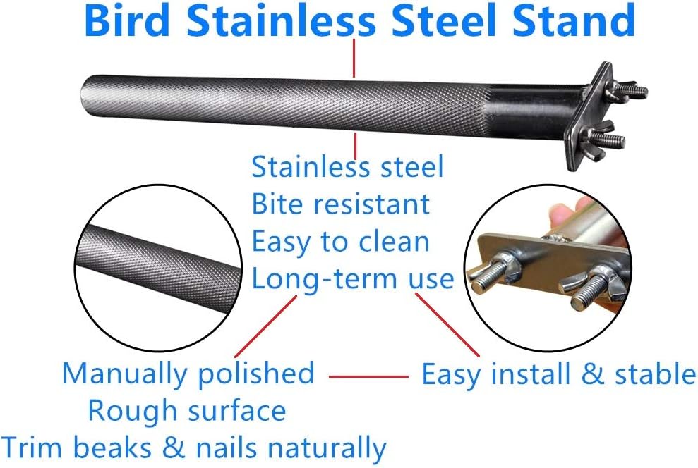 Litewoo Stainless Steel Parrot Perch Grinding Stand for Large Bird - XL: 12.22x 1.22inch - image 2