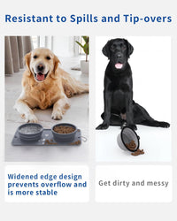 Collapsible Portable 2-in-1 Dog Bowl - Grey - image 2