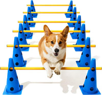 Dog Agility Course Backyard Set - 12 IN / Blue