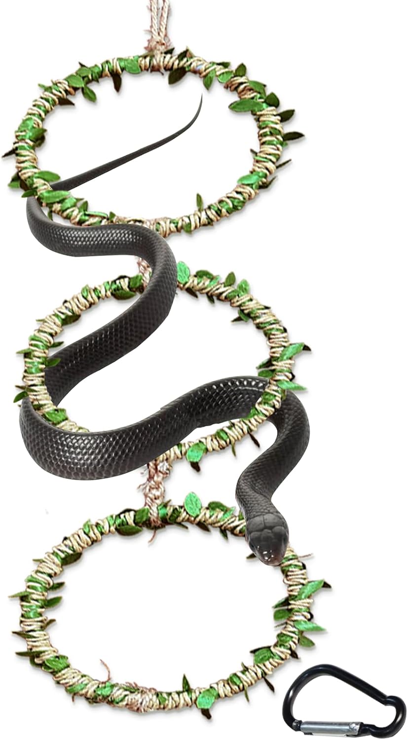Snake Climbing Rings for Ball Python, Enclosure Accessories