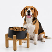 Black Raised/Elevated 15°Slanted Ceramic Dog Bowl for Small Breeds - Black / 3.6 CUPS - Medium Dog Bowls
