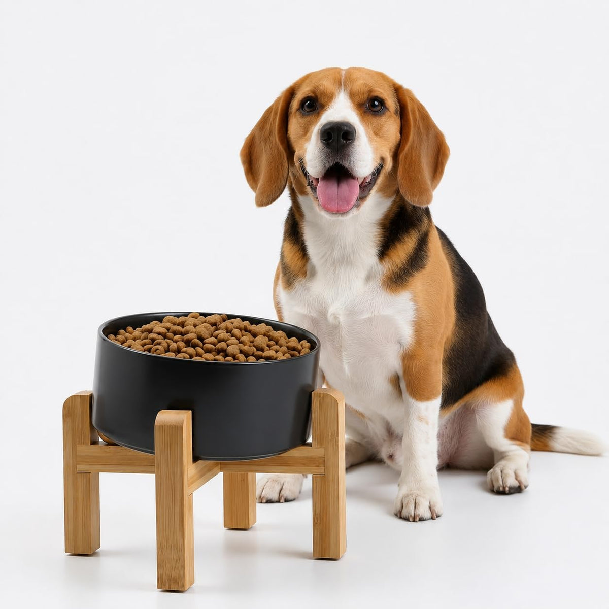 Black Raised/Elevated 15°Slanted Ceramic Dog Bowl for Small Breeds - Black / 3.6 CUPS - Medium Dog Bowls