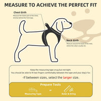 PUPTECK Dog Harness, Collar and Leash Set No Pull for Small Medium Sized – Essentials for Dogs - Brown&Yellow (Fall) / L (CHEST 18"-20") / Patterned Harness Collar and Leash Set - image 2