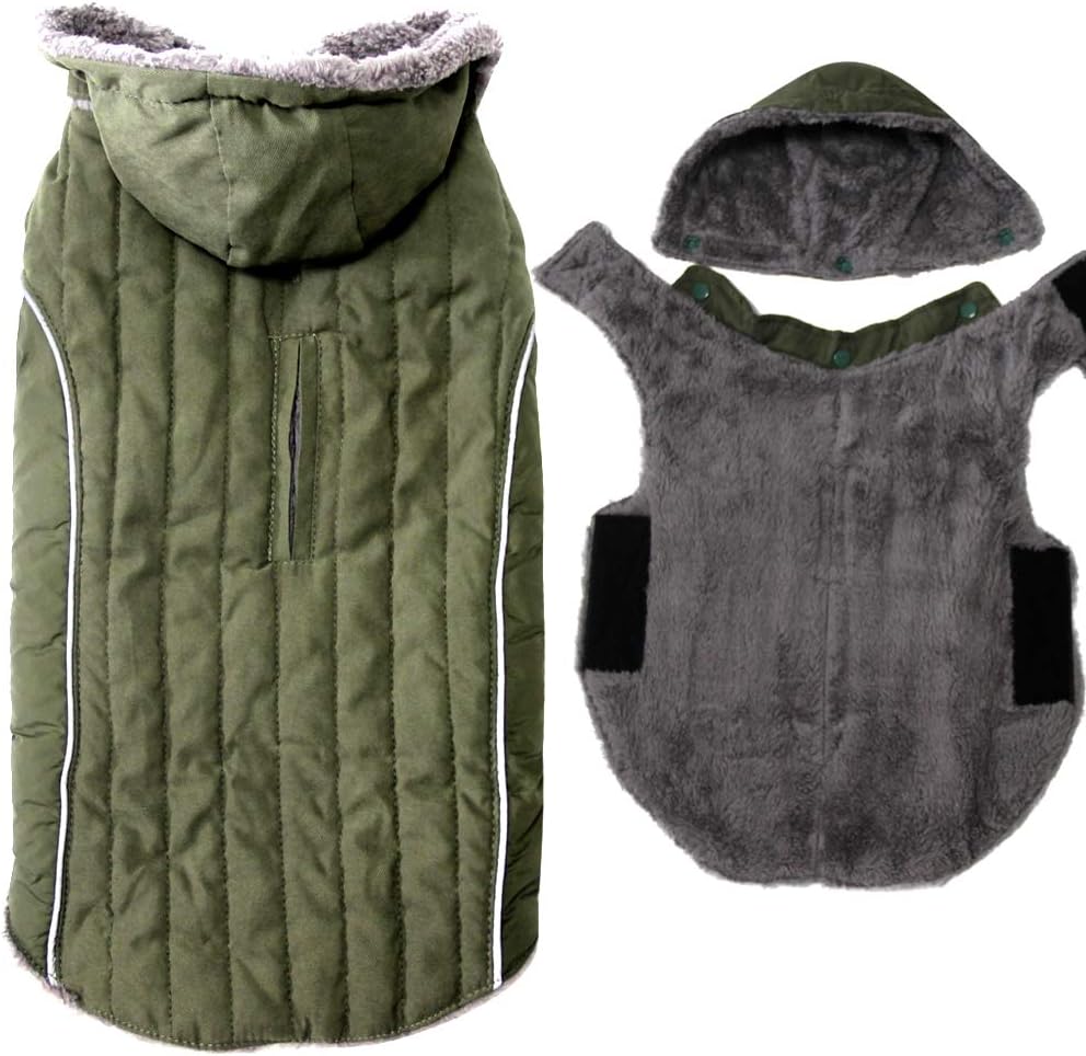 Warm Fleece Dog Hoodie for Small Dogs, Winter Puppy Coats - Green / Medium