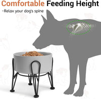 Elevated Dog Bowls, Ceramic Raised Dog Bowl Set with Anti-Slip and Non-Tip Metal Stand, 2 Pack Pet - Gray / 3.6 Cups | 2 Pack | For Medium Dogs - image 2