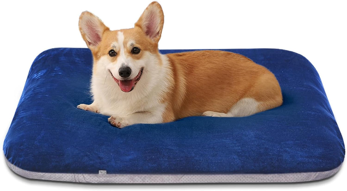 Magic Dog Orthopedic Extra Large Dog Bed 47 Inch - 32.0"L x 24.0"W x 3.0"Th / Blue