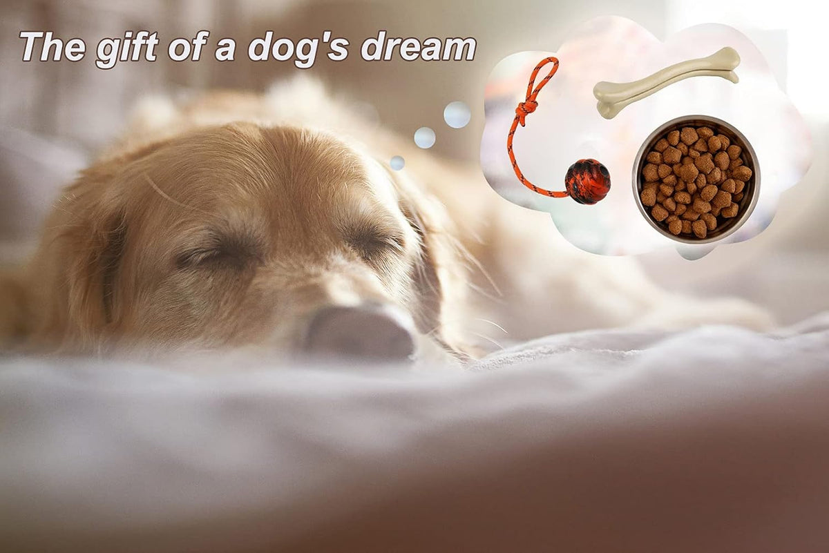 2Pcs Dog Training Ball on Rope, Exercise & Reward Toy for Dogs - 1pc - image 4