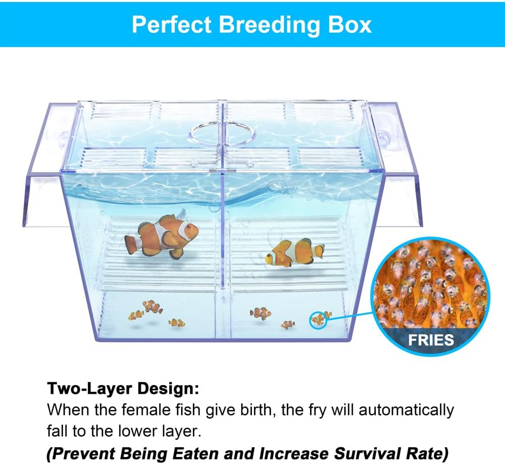 DaToo Fish Breeding Box Aquarium Holding Tank Transparent Fish - image 3