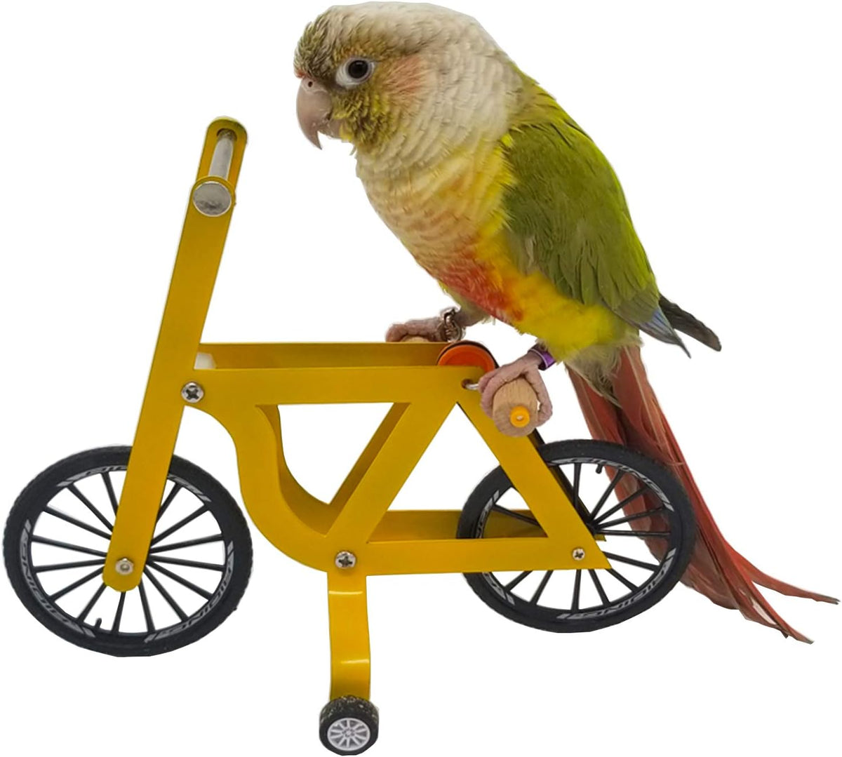 QBLEEV Bird Basketball Toy - Big Bicycle Toy