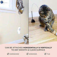 Interactive Catnip Bird Toy Set, Interactive Cat Toys for Indoor Cats, Cat Feather Toy, Self-Holding Suction Base, 5 Birds, Catnip Pouches, Feathers & Bells, Realistic Bird Impression