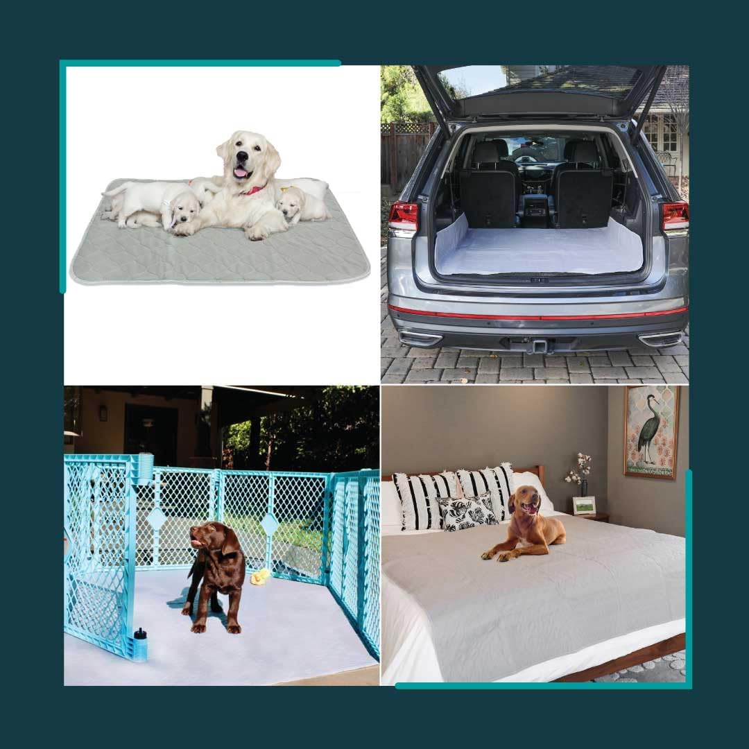 Washable Cat & Dog Carrier Pad, Reusable Liner Insert – Essentials for Dogs - 72" x 72" / 1-Pack, XX-Large - image 2