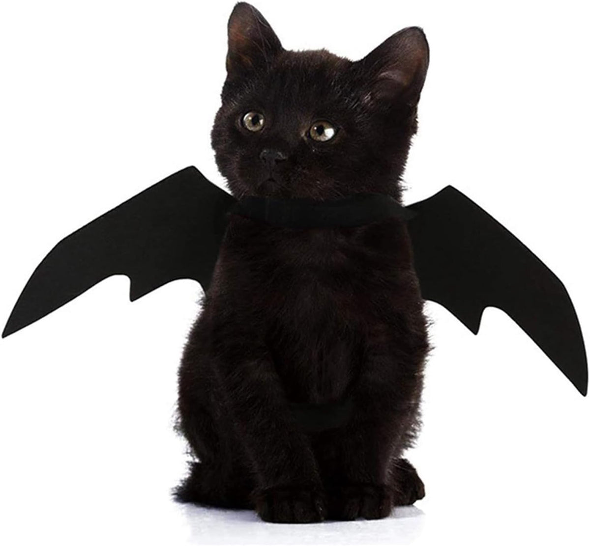 Pet Cat Bat Wings for Halloween Party Decoration - Small / Pure Black - image 3