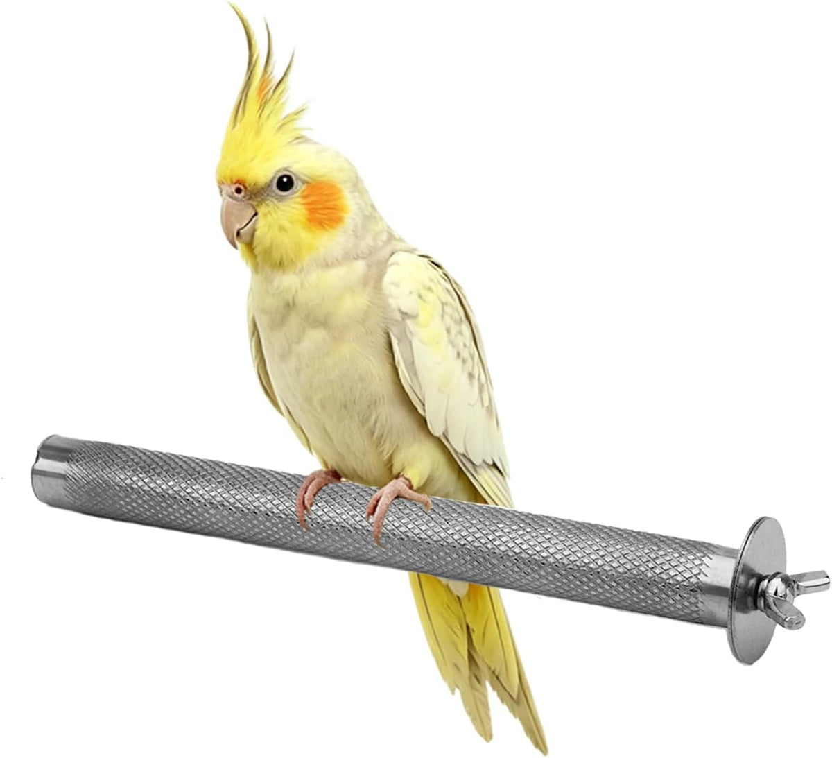 Litewoo Stainless Steel Parrot Perch Grinding Stand for Large Bird - S: 7.19x 0.75inch