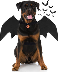 Dog Halloween Costumes for Large Dogs - X-Large