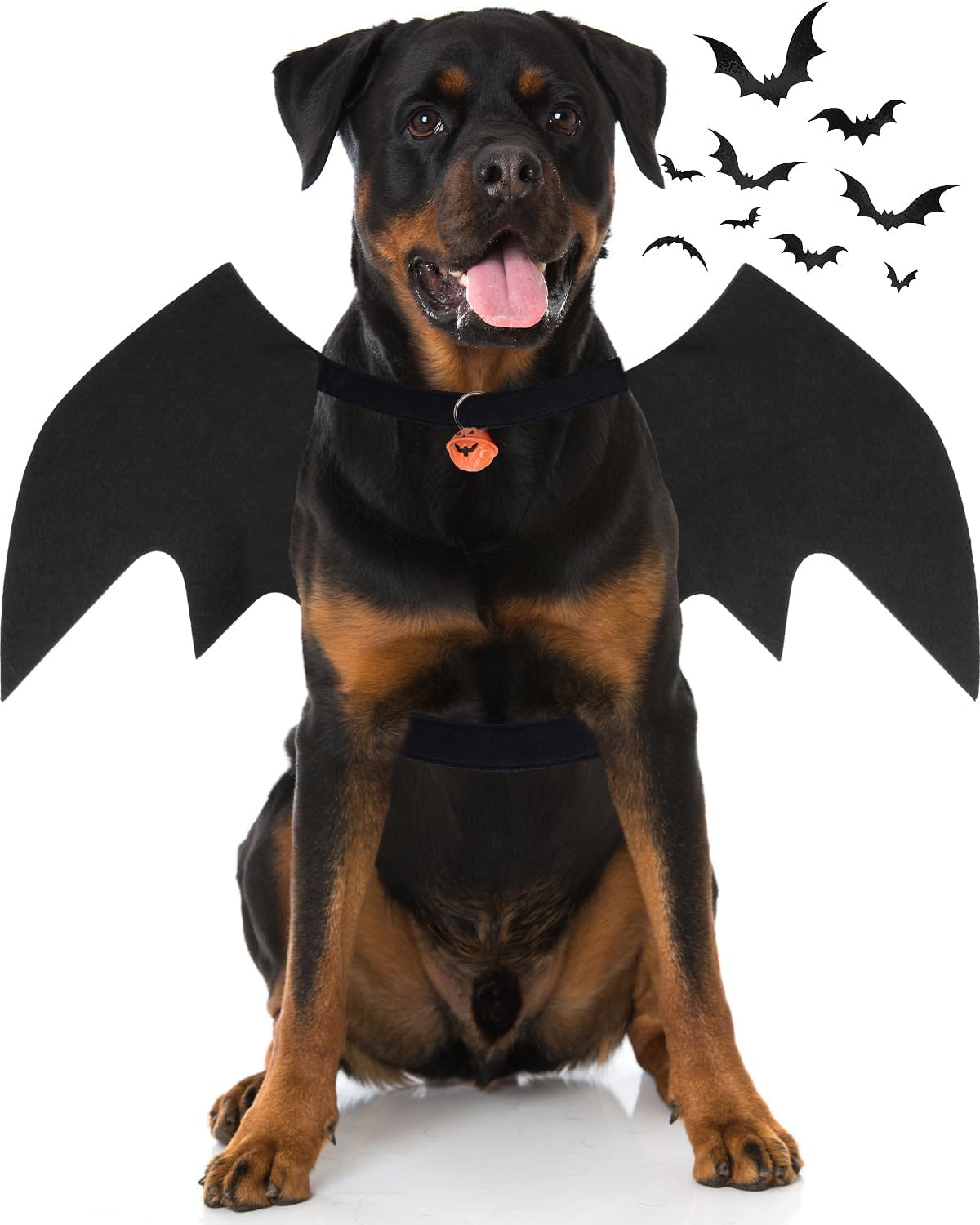 Dog Halloween Costumes for Large Dogs - X-Large