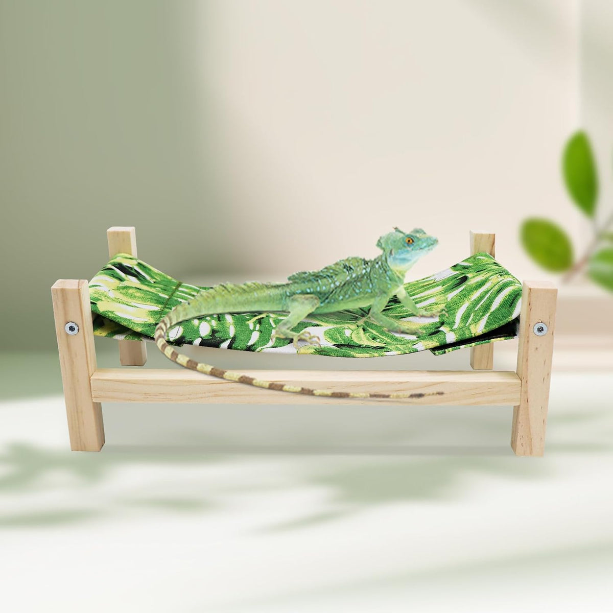 Bearded Dragon Bed, Wooden Reptile Sleeping Hammock - Large / Green 1 - image 4