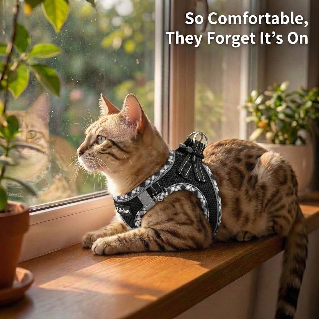 Escape Proof Cat Harness and Leash, Adjustable Vest - Black / XS - image 3