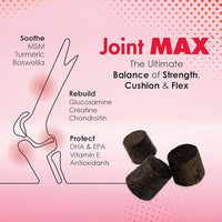 TS Joint Supplement Vet Formulated Pain & Inflammation Relief Treats Hip Dysplasia & Arthritis, Glucosamine, Chondroitin, Turmeric, MSM, HA, Creatine, Omega 3 EPA + DHA.120 Soft Chews