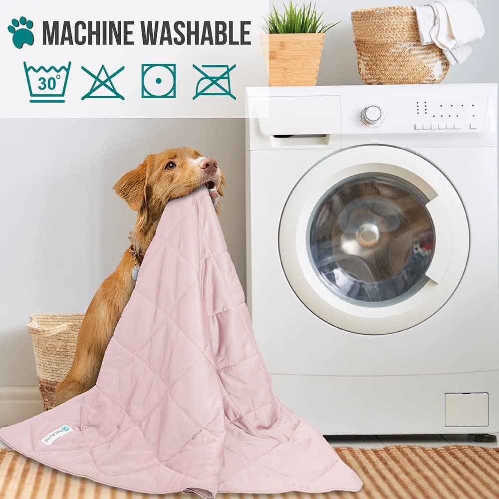 PetAmi Cooling Dog Blanket Lightweight for Small Pet Cat, 24x32 - Pink / Large (40x60) - image 2
