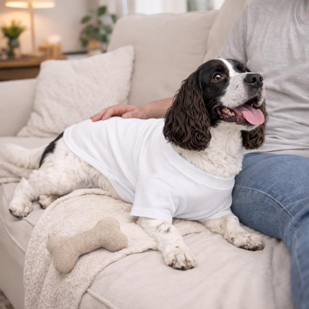 Lovelonglong Pet Clothing Dog Costumes Basic Blank T-Shirt Tee Shirts - D-XL (for Dachshund -30lbs) / White - image 3