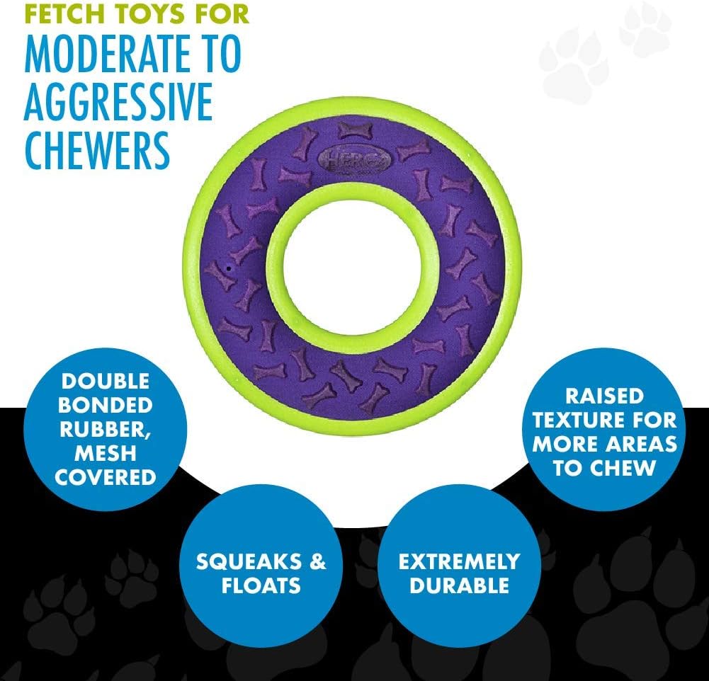 Hero Outer Armor, Fetch Ring Dog Toy, Floats & Squeaks, Blue – Essentials for Dogs - Ring - Purple - image 4