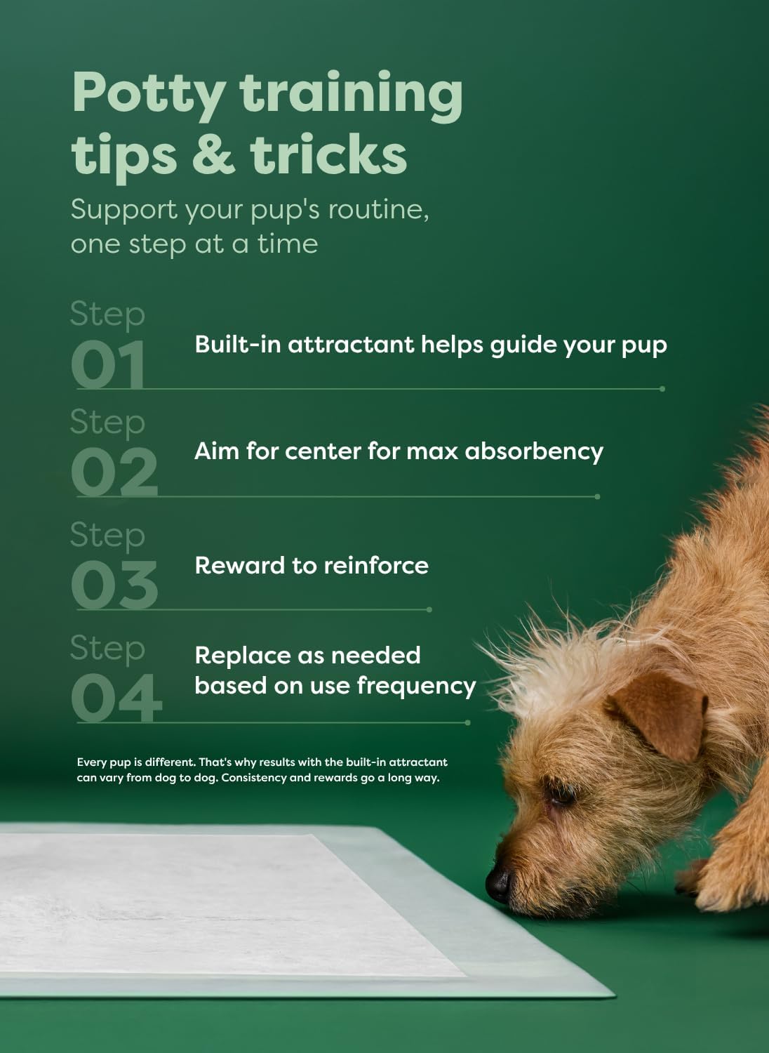 Regular Dog & Puppy Pee Pads, Max Absorbency - Clear View Top / 3XL 36"x36" 24-ct - image 2