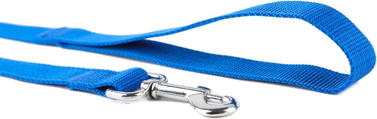 Nylon Dog Training Leash, Traction Rope - 1'' x 7 FT / Blue - image 3