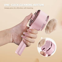 Cat Steam Brush,Cat Brushes for Indoor Cats, 4 In 1Spritz Spray Defur Comb, Cloud Care Shedding Control, Pet Grooming Brush for Long Short Hair Cats Dogs, Massage Clean Design Pet Steam Brushes