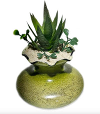 2 Pounds Natural Decorative Real Sand for use in Crafts, Decor - 5 Pounds - image 4