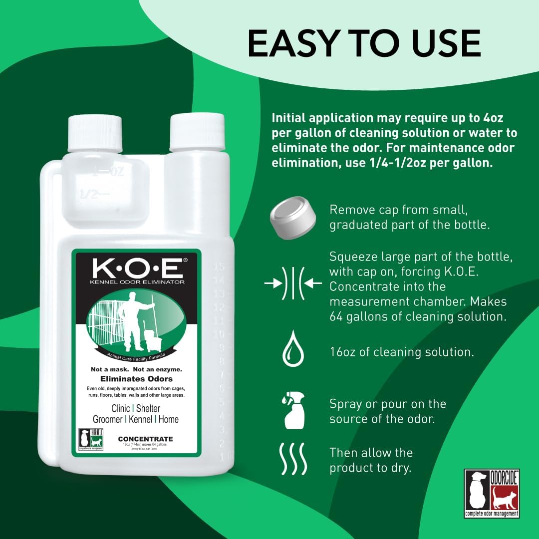 Odorcide KOE Fresh Scent Concentrate - Original / 16 Fl Oz (Pack of 1) - image 2
