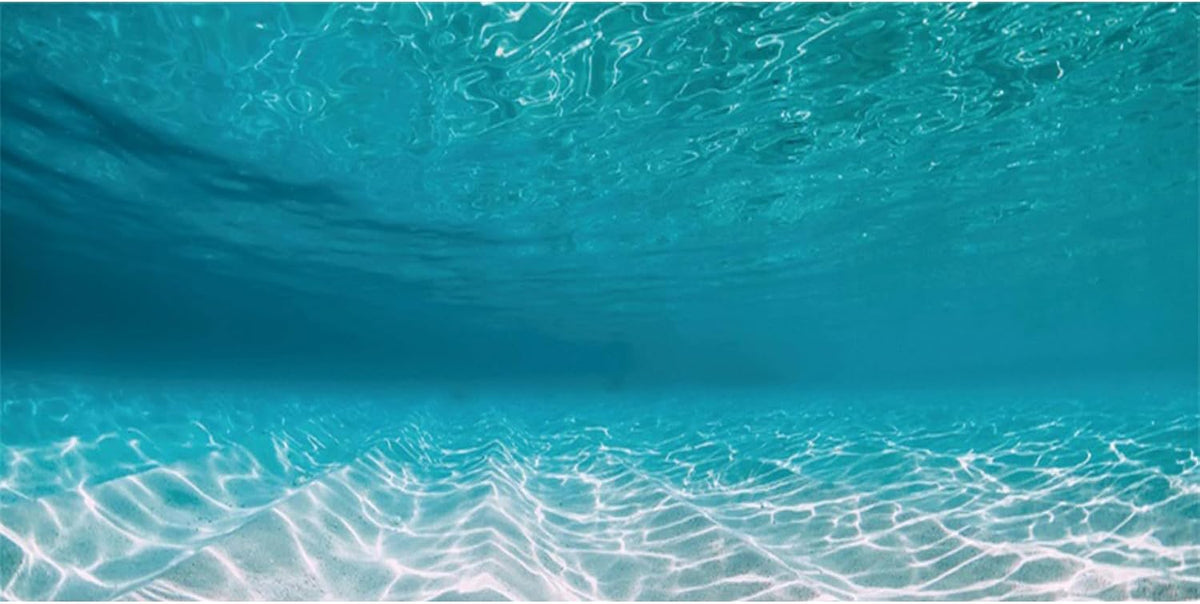 48x24 in Undersea Vinyl Aquarium Backdrop Ocean Floor Fish Tank - 48x18in/120x45cm