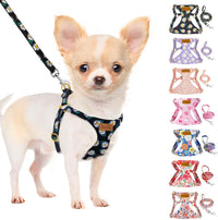 SlowTon No Pull Dog Harness with Leash for Small Medium Dogs - Medium(18-31lb) / Black Daisy