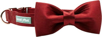 Lionet Paws Bowtie Dog Collar - Medium (Pack of 1) / Red - image 4
