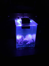 15 inches LED Aquarium Light - 7.5 Inch (Pack of 1) - image 2