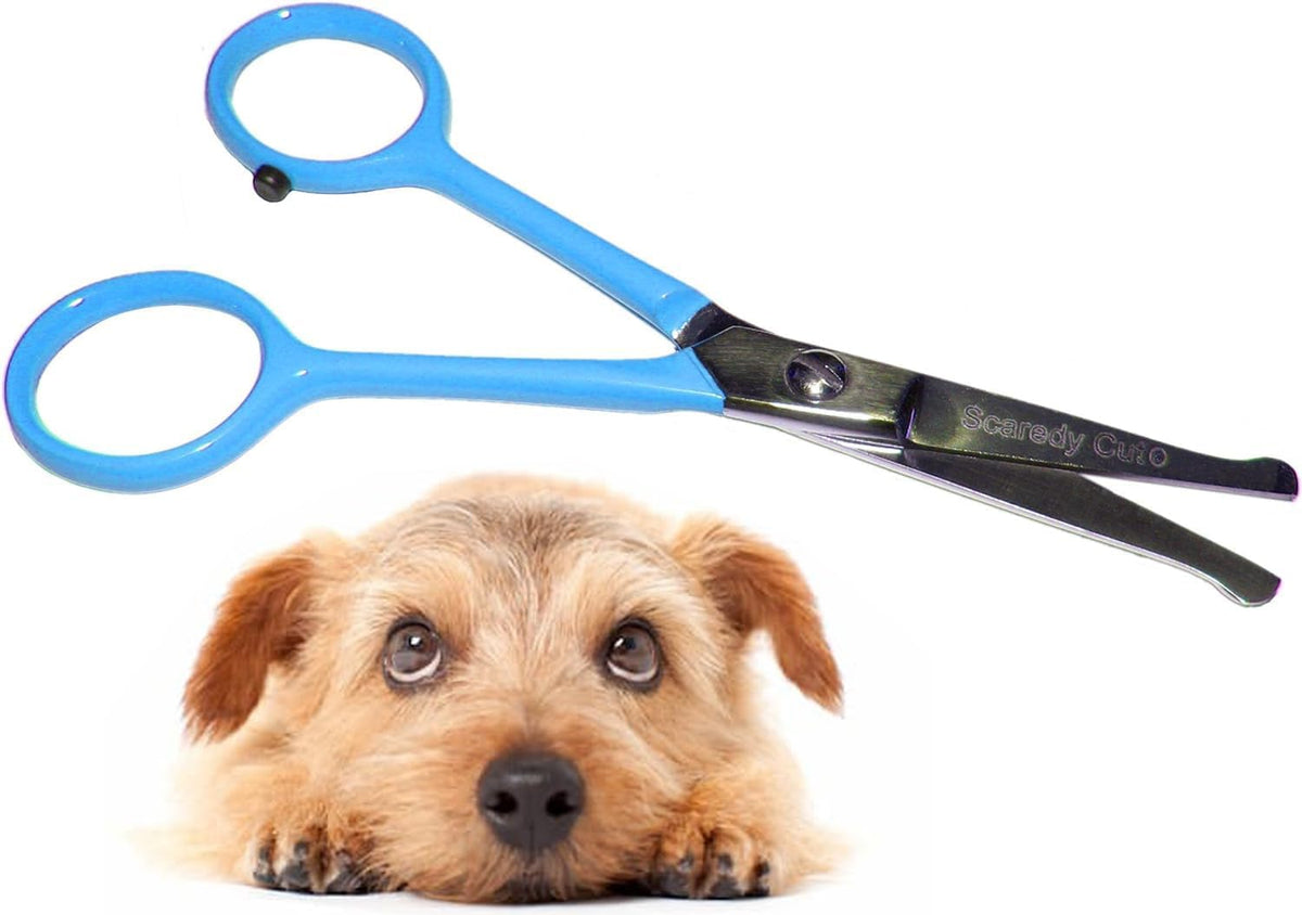 Tiny Trim 4.5" Ball-Tipped Scissor for Dog - Tiny Trim Safety Scissor / Blue